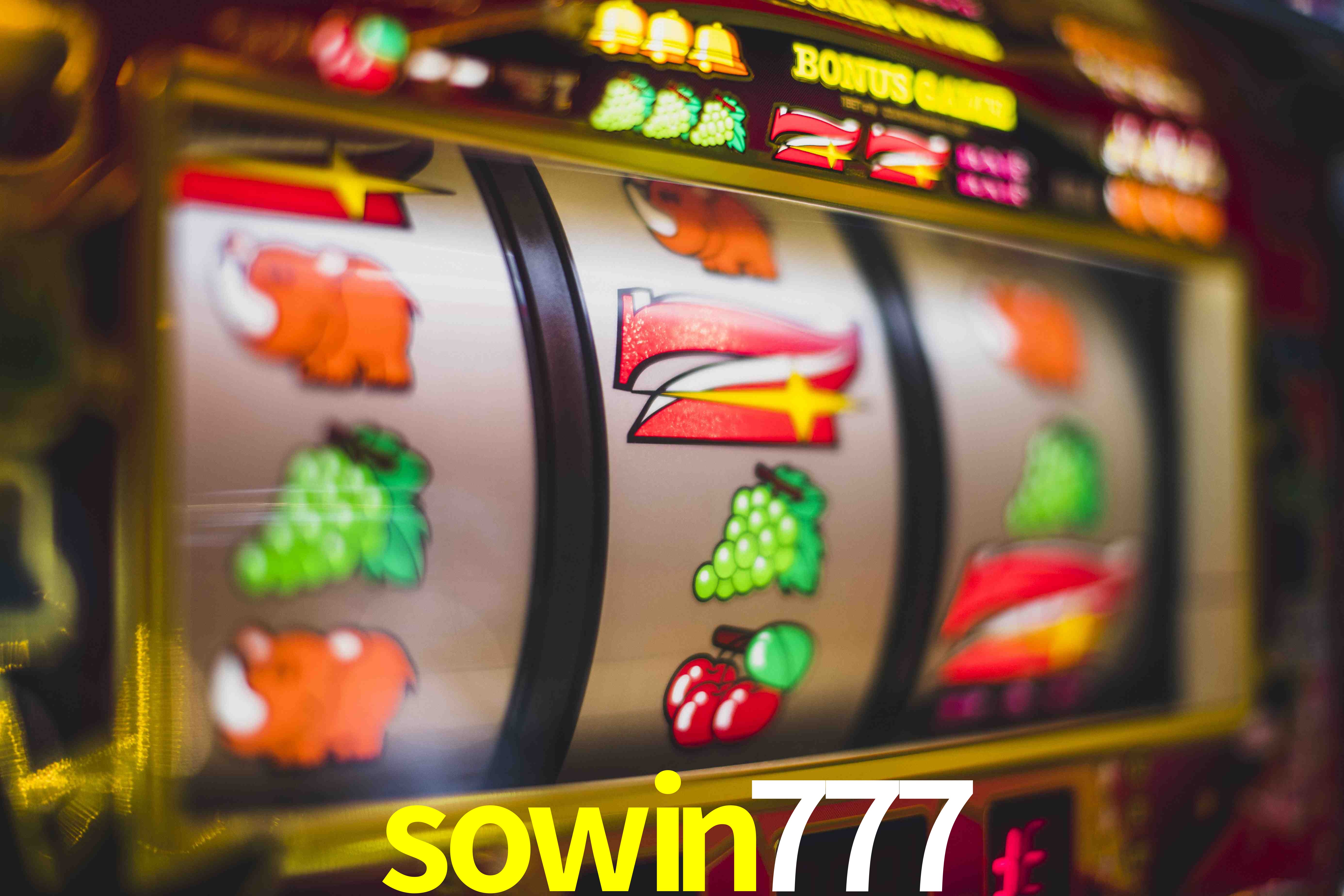 Live Casino sowin777